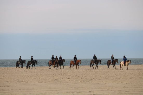 CODIR à Deauville : personnes à chevaux au bord de la mer