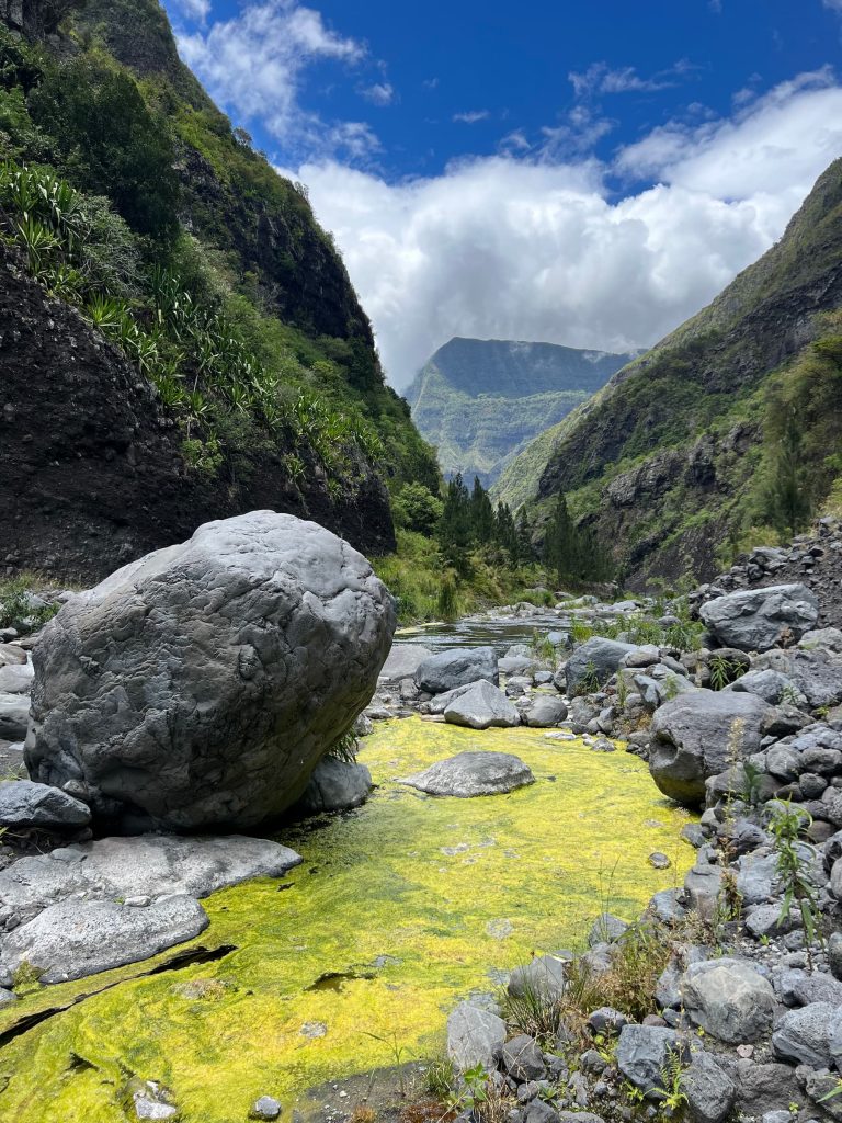 Voyage incentive à la Réunion. Vue de rochers et de la végétation à Dos d'Âne La Possession.